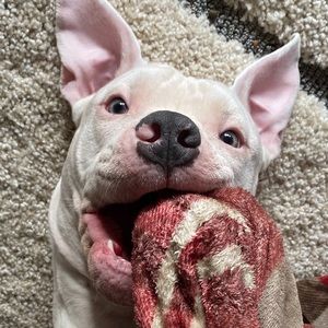 Meet your Posher, Emily